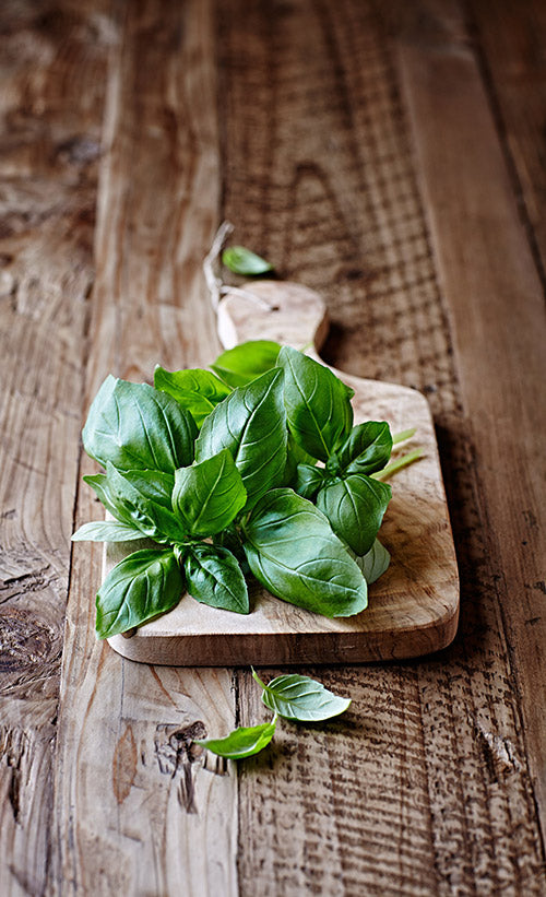 Basil